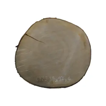 Plaster Czereśni 38x37x4cm