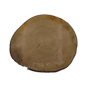 Plaster Czereśni 40x36x4cm