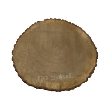 Plaster Dębowy 52x46x6cm Dąb