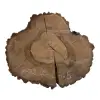Plaster Orzecha Włoskiego po Suszarni 63x54x8cm