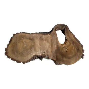 Plaster Orzecha Włoskiego po Suszarni 103x59x8cm