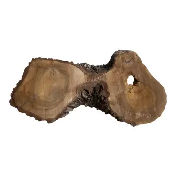Plaster Orzecha Włoskiego po Suszarni 105x55x7cm