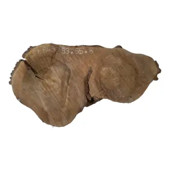 Plaster Orzecha Włoskiego po Suszarni 93x55x8cm
