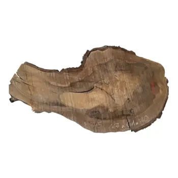 Plaster Orzecha Włoskiego po Suszarni 117x61x10cm