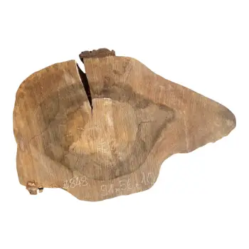 Plaster Orzecha Włoskiego po Suszarni 91x56x10cm