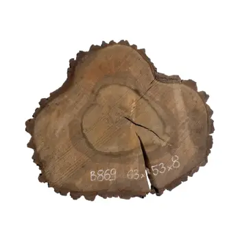 Plaster Orzecha Włoskiego po Suszarni 63x53x8cm
