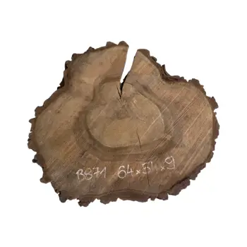 Plaster Orzecha Włoskiego po Suszarni 64x54x9cm