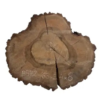 Plaster Orzecha Włoskiego po Suszarni 63x54x8cm