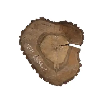 Plaster Orzecha Włoskiego po Suszarni 63x54x8cm