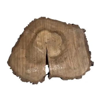 Plaster Orzecha Włoskiego po Suszarni 66x53x9cm