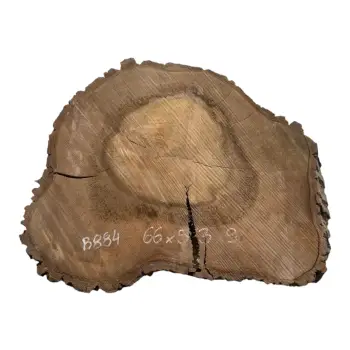 Plaster Orzecha Włoskiego po Suszarni 66x54x9cm