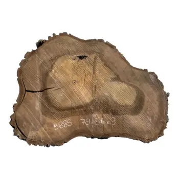 Plaster Orzecha Włoskiego po Suszarni 79x54x9cm