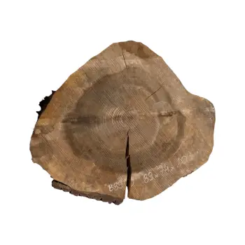 Plaster Orzecha Włoskiego po Suszarni 89x74x10cm