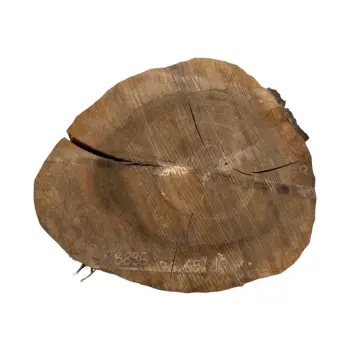 Plaster Orzecha Włoskiego po Suszarni 76x65x10cm