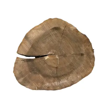 Plaster Orzecha Włoskiego po Suszarni 77x66x10cm