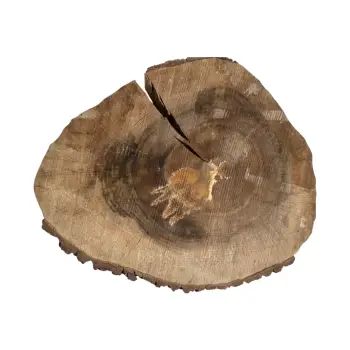 Plaster Orzecha Włoskiego po Suszarni 79x64x10cm