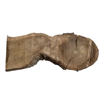 Plaster Orzecha Włoskiego po Suszarni 126x52/45x10cm