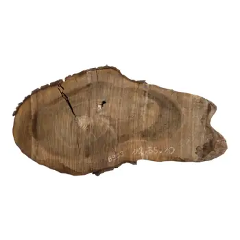 Plaster Orzecha Włoskiego po Suszarni 112x55x10cm