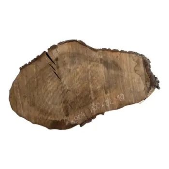 Plaster Orzecha Włoskiego po Suszarni 100x62x11cm