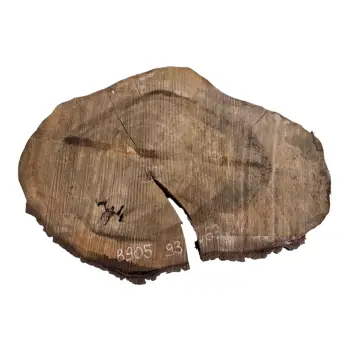 Plaster Orzecha Włoskiego po Suszarni 93x63x11cm