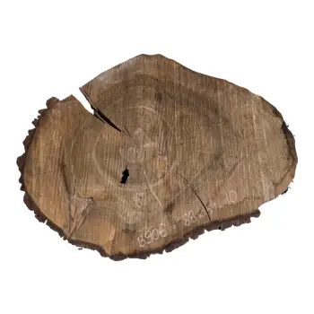 Plaster Orzecha Włoskiego po Suszarni 88x64x10cm