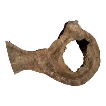 Plaster Orzecha Włoskiego po Suszarni 75x57x8cm