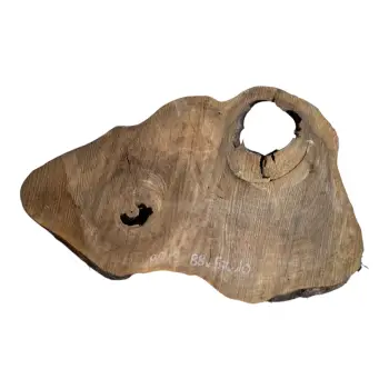 Plaster Orzecha Włoskiego po Suszarni 88x57x10cm