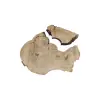 Plaster Kasztanowca 89x63x8,5cm