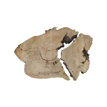 Plaster Kasztanowca 83x60x8,5cm