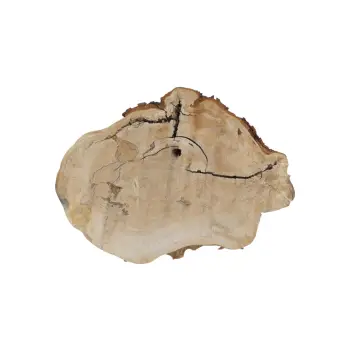 Plaster Kasztanowca 90x64x10cm