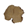 Plaster Akacji 32x28x3cm