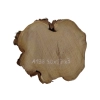 Plaster Akacji 30x27x3cm