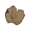Plaster Akacji 32x30x3cm