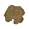 Plaster Akacji 32x29x3cm