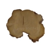 Plaster Akacji 31x24x3cm