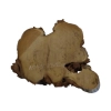 Plaster Akacji 32x29x3cm
