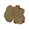 Plaster Akacji 30x27x3cm