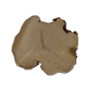 Plaster Akacji 30x27x3cm