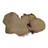 Plaster Akacji 45x23x3cm