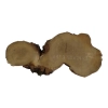 Plaster Akacji 50x24x3cm