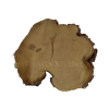 Plaster Akacji 30x28x3cm