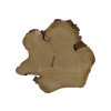 Plaster Akacji 34x33x3cm