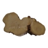 Plaster Akacji 43x23x3cm