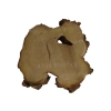Plaster Akacji 30x31x3cm