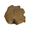 Plaster Akacji 30x29x3cm