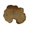 Plaster Akacji 31x25x3cm
