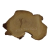Plaster Akacji 35x25x3cm