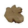 Plaster Akacji 34x31x3cm
