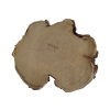 Plaster Akacji 31x29x3cm