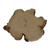 Plaster Akacji 31x29x3cm